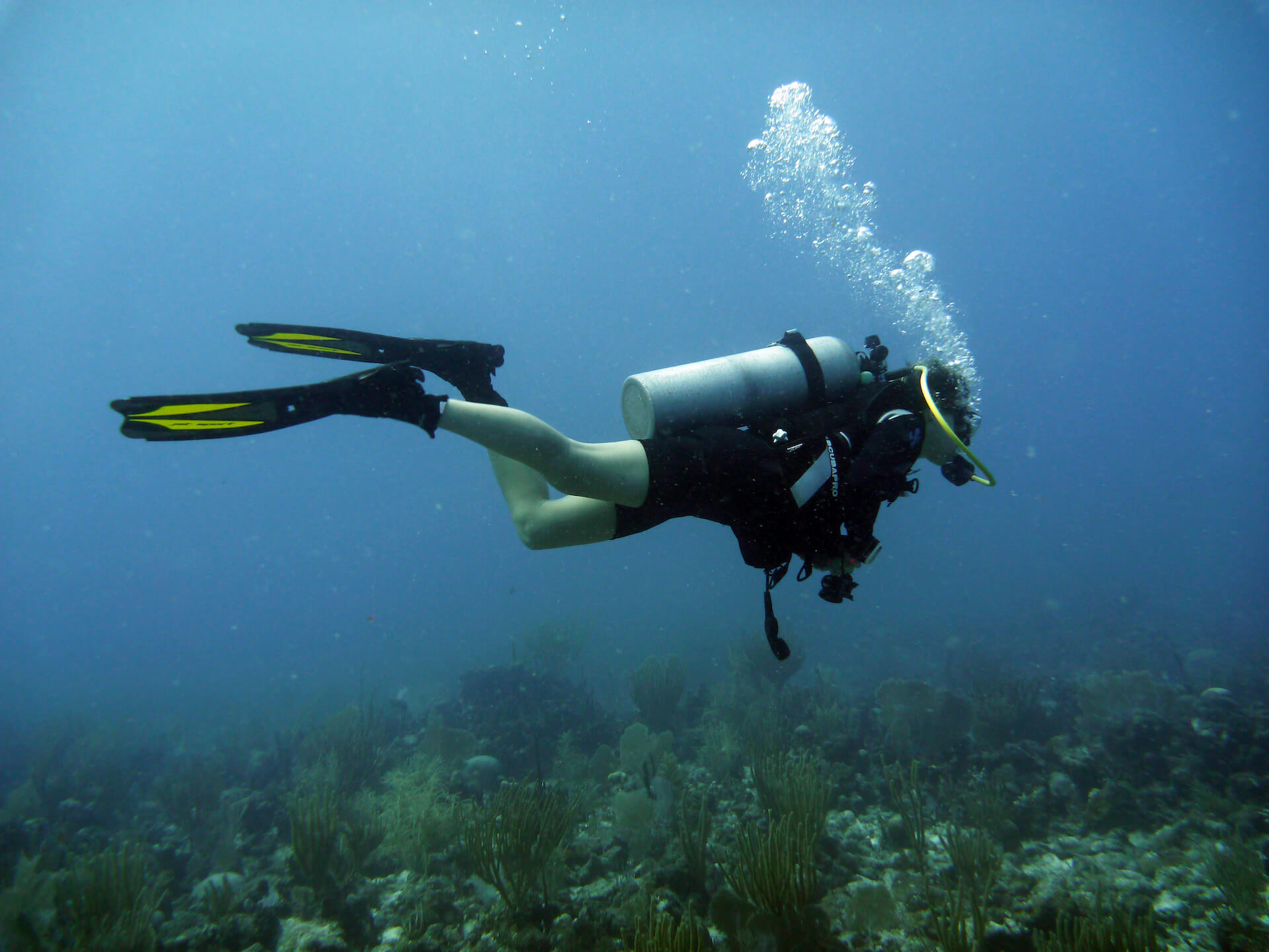Culebra Divers - Dive Shop, Culebra, PR