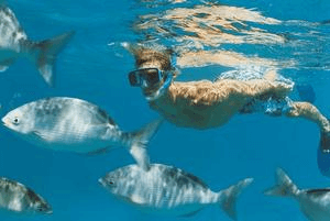 Culebra Divers - Snorkeling Tours